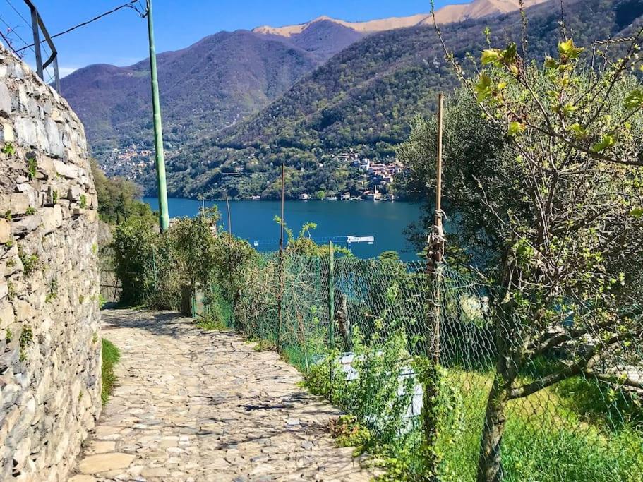 Romantic Home Stone With Amazing View Lake Of Como And Oleandra ลาโญ ภายนอก รูปภาพ