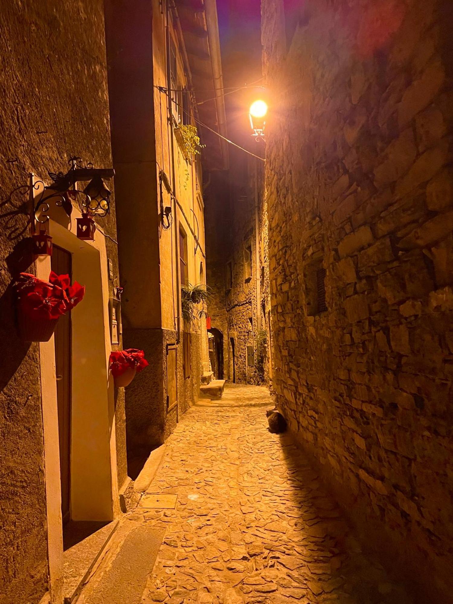 Romantic Home Stone With Amazing View Lake Of Como And Oleandra ลาโญ ภายนอก รูปภาพ